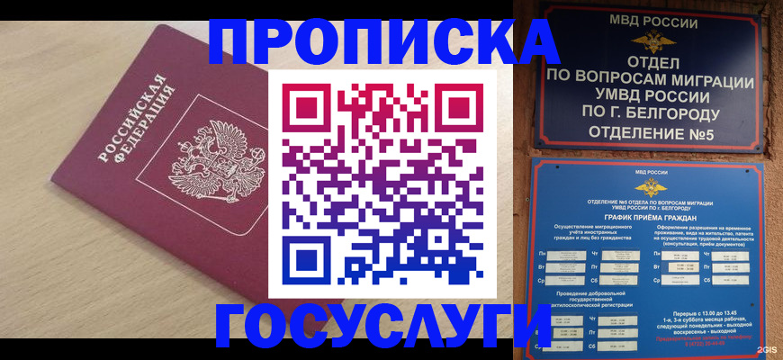 прописка законно в Рошале